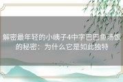 解密最年轻的小峓子4中字巴巴鱼汤饭的秘密：为什么它是如此独特