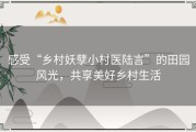 感受“乡村妖孽小村医陆言”的田园风光，共享美好乡村生活