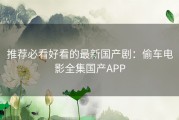 推荐必看好看的最新国产剧：偷车电影全集国产APP