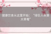 健康饮食从这里开始：“绿巨人秋葵大草莓”