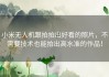 小米无人机跟拍拍出好看的照片，不需要技术也能拍出高水准的作品！