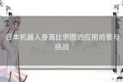 日本机器人身高比例图的应用前景与挑战