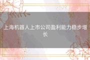 上海机器人上市公司盈利能力稳步增长