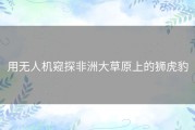 用无人机窥探非洲大草原上的狮虎豹