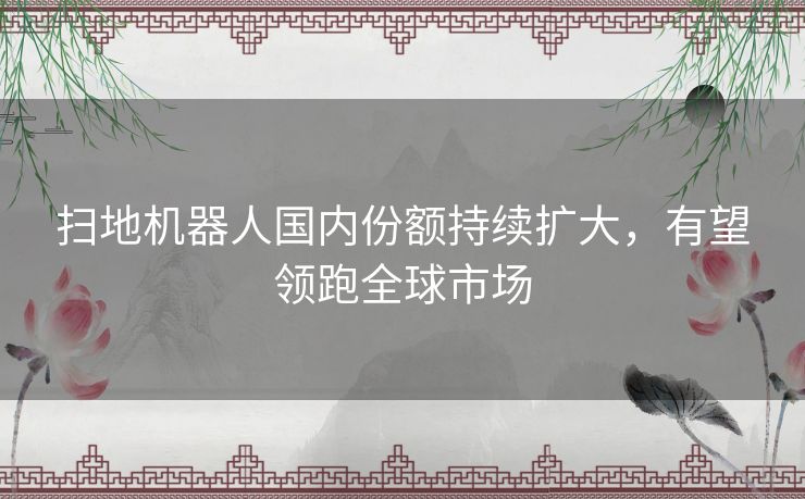 扫地机器人国内份额持续扩大，有望领跑全球市场