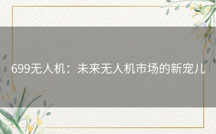 699无人机：未来无人机市场的新宠儿