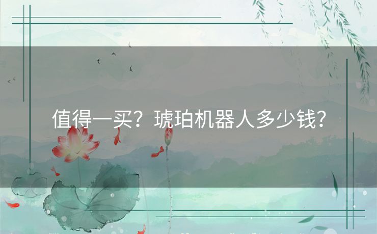 值得一买？琥珀机器人多少钱？