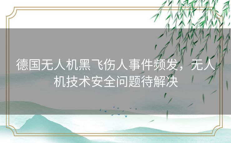 德国无人机黑飞伤人事件频发，无人机技术安全问题待解决