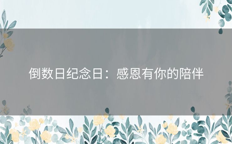 倒数日纪念日：感恩有你的陪伴