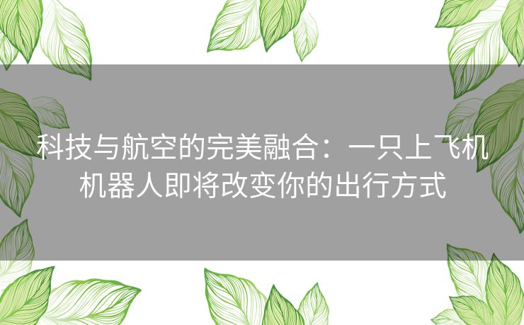 科技与航空的完美融合：一只上飞机机器人即将改变你的出行方式