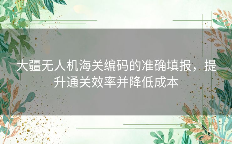 大疆无人机海关编码的准确填报，提升通关效率并降低成本