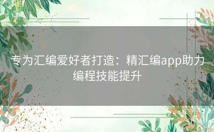 专为汇编爱好者打造：精汇编app助力编程技能提升