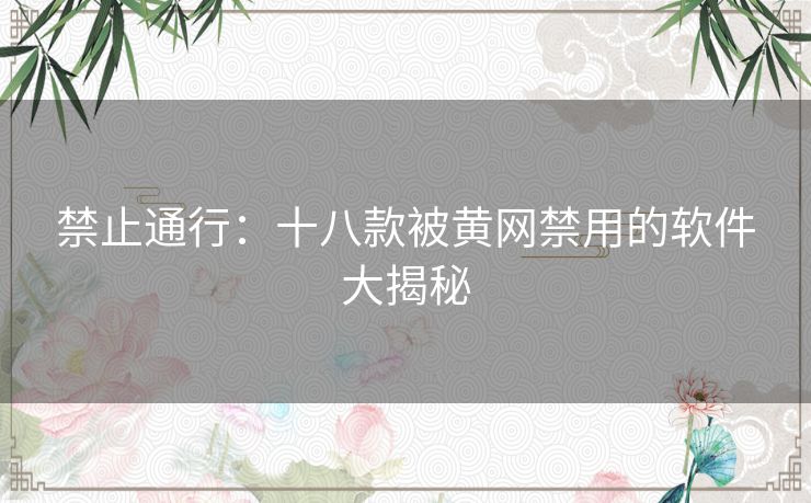 禁止通行：十八款被黄网禁用的软件大揭秘