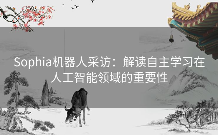 Sophia机器人采访：解读自主学习在人工智能领域的重要性