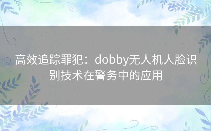 高效追踪罪犯：dobby无人机人脸识别技术在警务中的应用