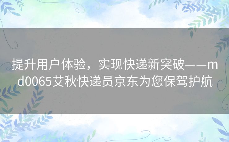 提升用户体验，实现快递新突破——md0065艾秋快递员京东为您保驾护航