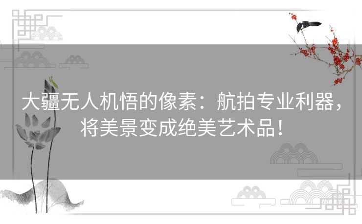 大疆无人机悟的像素：航拍专业利器，将美景变成绝美艺术品！