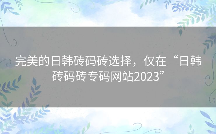 完美的日韩砖码砖选择，仅在“日韩砖码砖专码网站2023”