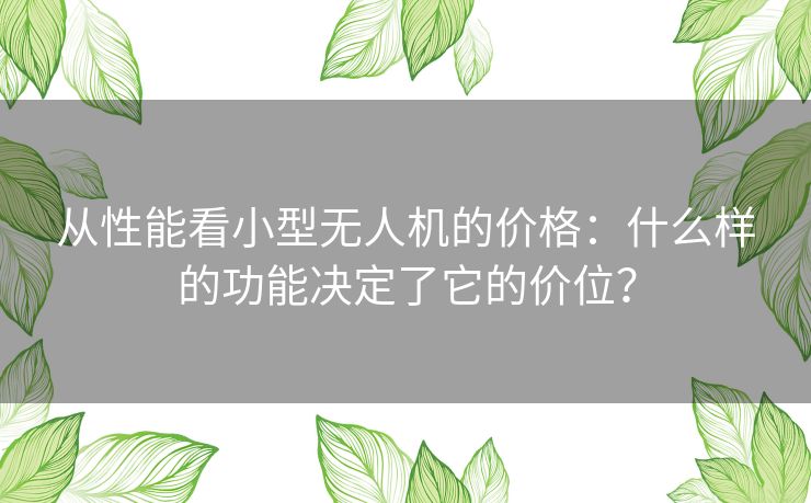 从性能看小型无人机的价格：什么样的功能决定了它的价位？