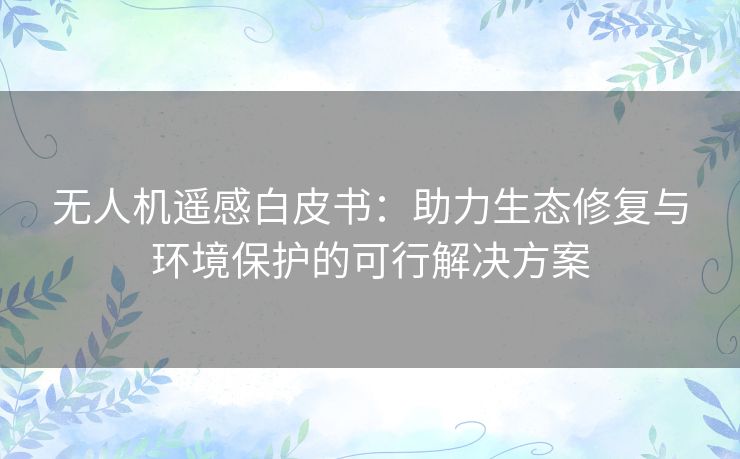 无人机遥感白皮书：助力生态修复与环境保护的可行解决方案