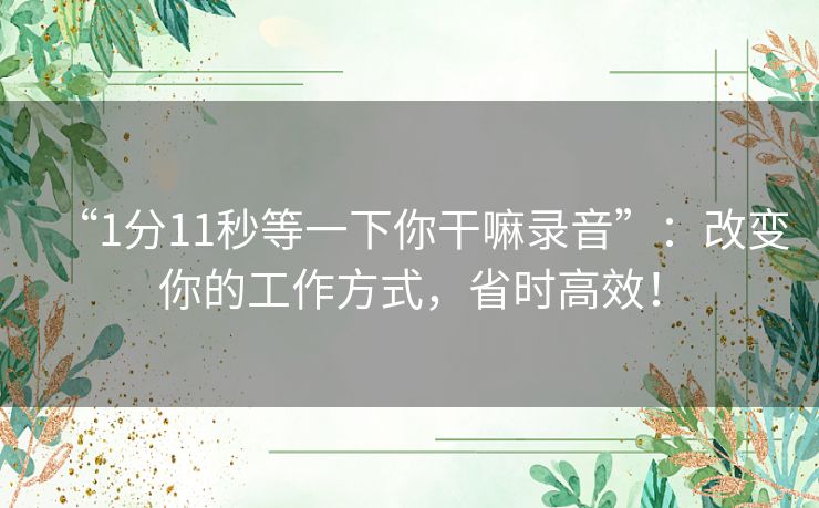 “1分11秒等一下你干嘛录音”：改变你的工作方式，省时高效！