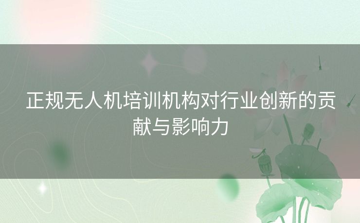 正规无人机培训机构对行业创新的贡献与影响力