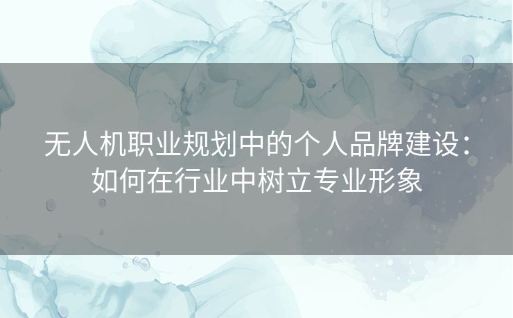无人机职业规划中的个人品牌建设：如何在行业中树立专业形象