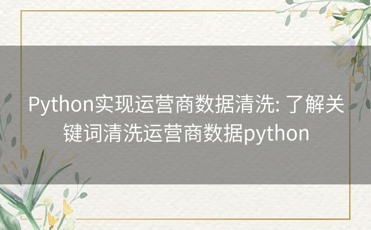 Python实现运营商数据清洗: 了解关键词清洗运营商数据python