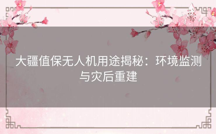 大疆值保无人机用途揭秘：环境监测与灾后重建