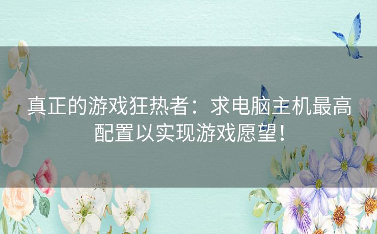 真正的游戏狂热者：求电脑主机最高配置以实现游戏愿望！