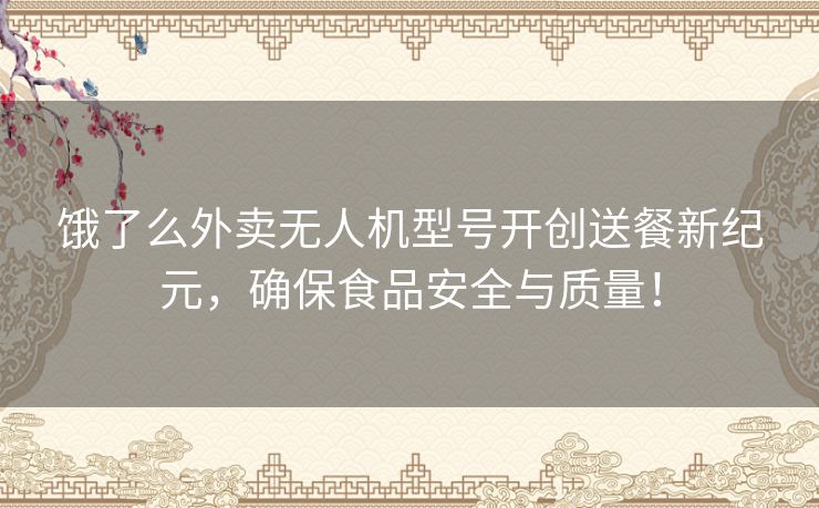 饿了么外卖无人机型号开创送餐新纪元，确保食品安全与质量！