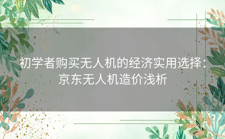 初学者购买无人机的经济实用选择：京东无人机造价浅析