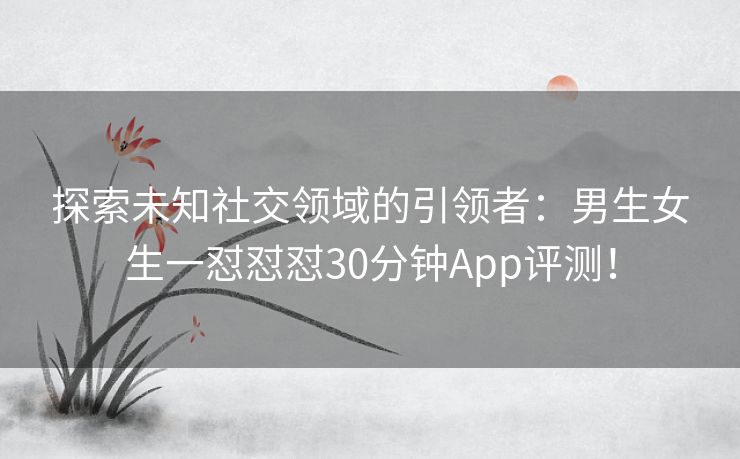 探索未知社交领域的引领者：男生女生一怼怼怼30分钟App评测！