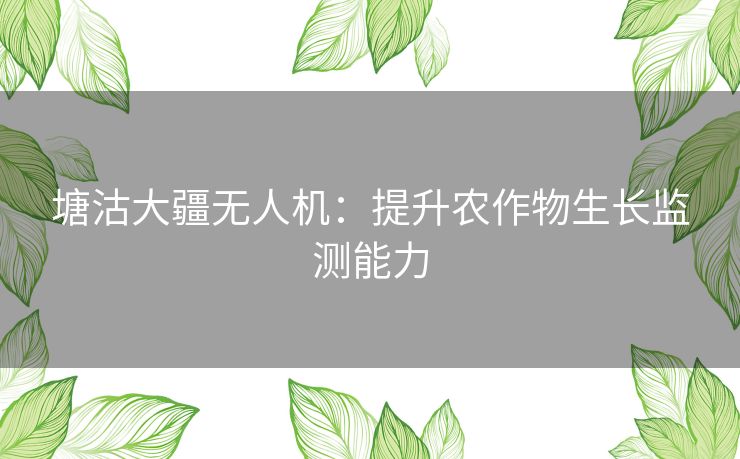 塘沽大疆无人机：提升农作物生长监测能力