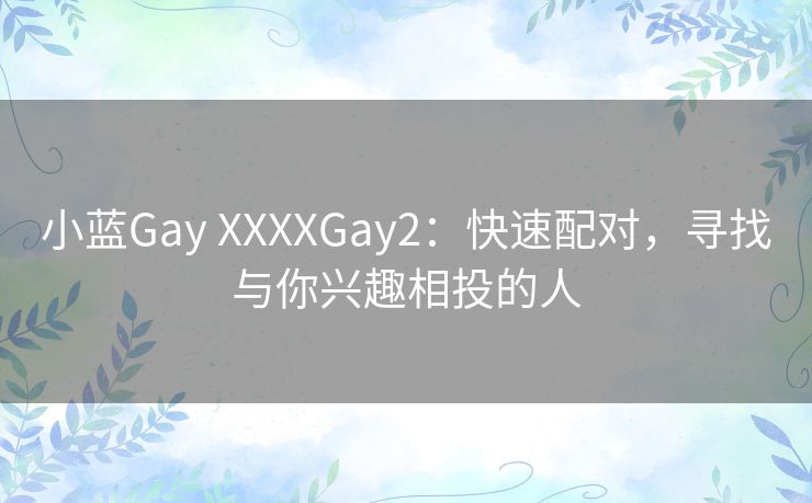 小蓝Gay XXXXGay2：快速配对，寻找与你兴趣相投的人