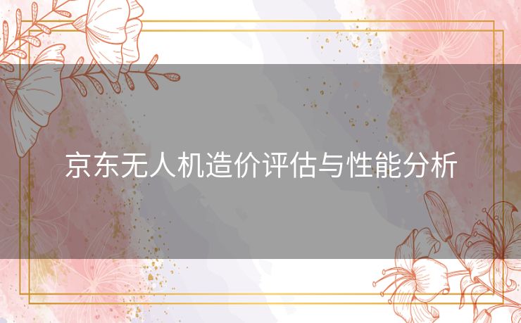 京东无人机造价评估与性能分析