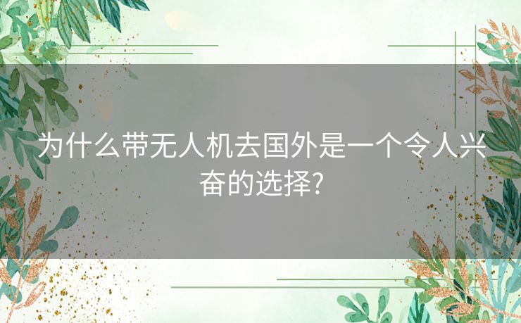 为什么带无人机去国外是一个令人兴奋的选择?