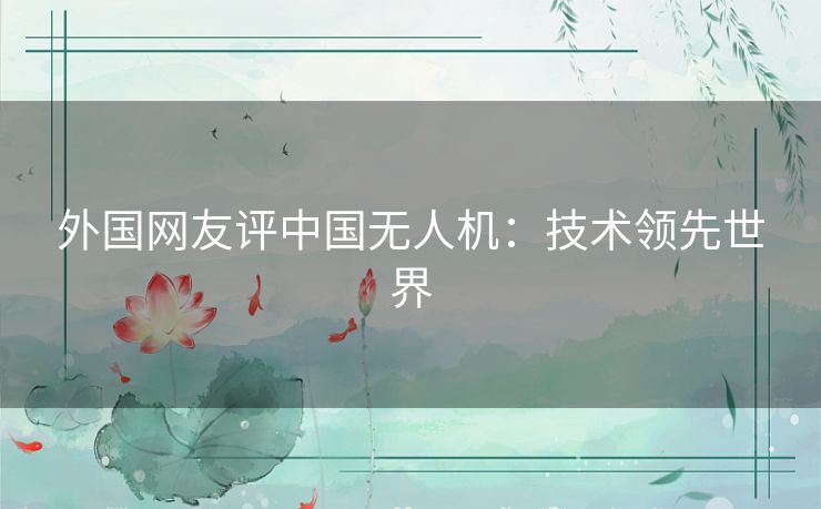 外国网友评中国无人机：技术领先世界