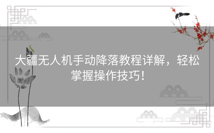 大疆无人机手动降落教程详解，轻松掌握操作技巧！