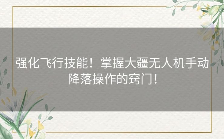 强化飞行技能！掌握大疆无人机手动降落操作的窍门！