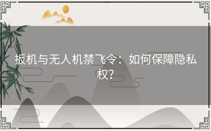 扳机与无人机禁飞令：如何保障隐私权？