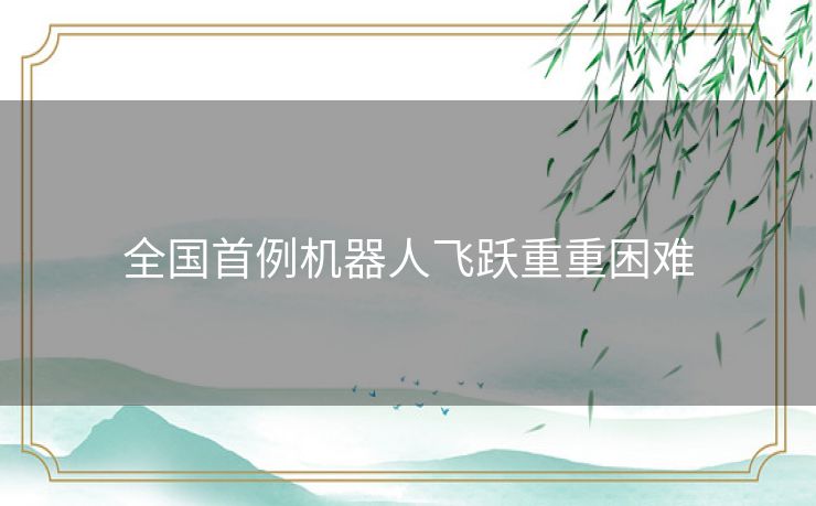全国首例机器人飞跃重重困难
