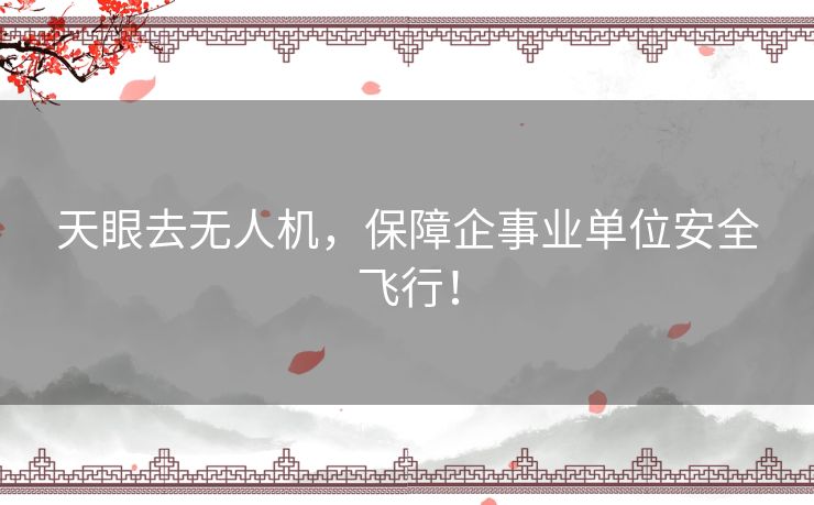 天眼去无人机，保障企事业单位安全飞行！