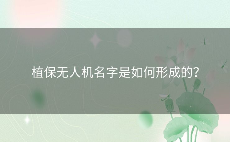 植保无人机名字是如何形成的？