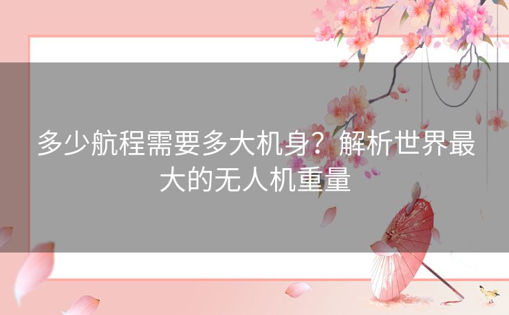 多少航程需要多大机身？解析世界最大的无人机重量