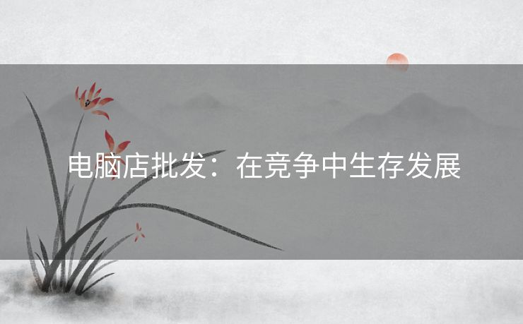 电脑店批发：在竞争中生存发展