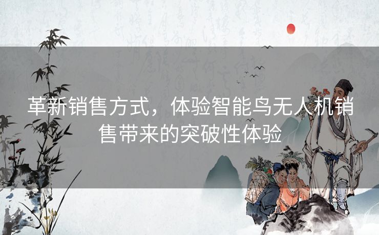 革新销售方式，体验智能鸟无人机销售带来的突破性体验