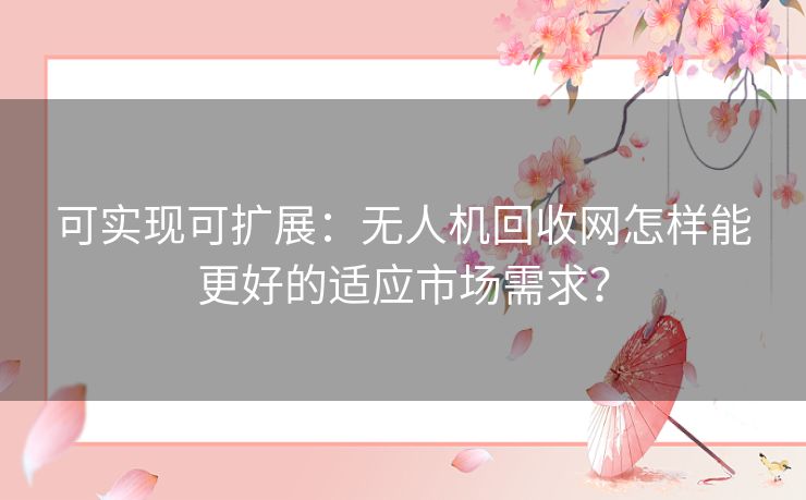 可实现可扩展：无人机回收网怎样能更好的适应市场需求？