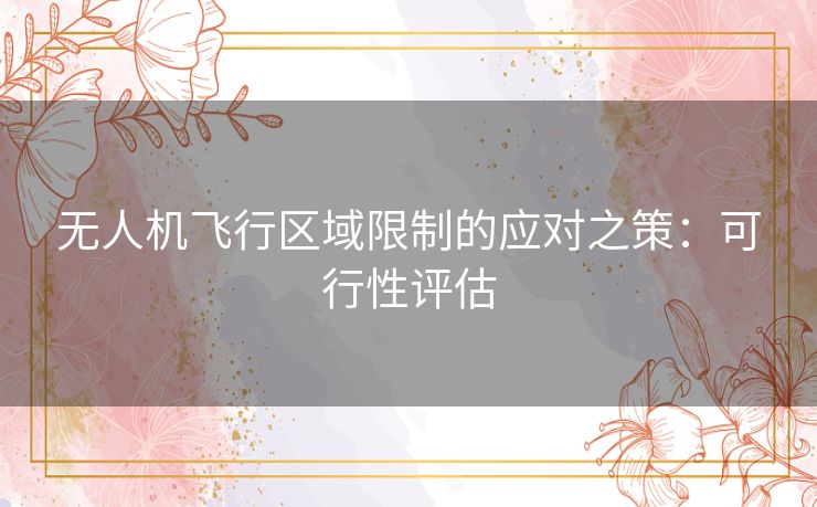 无人机飞行区域限制的应对之策：可行性评估