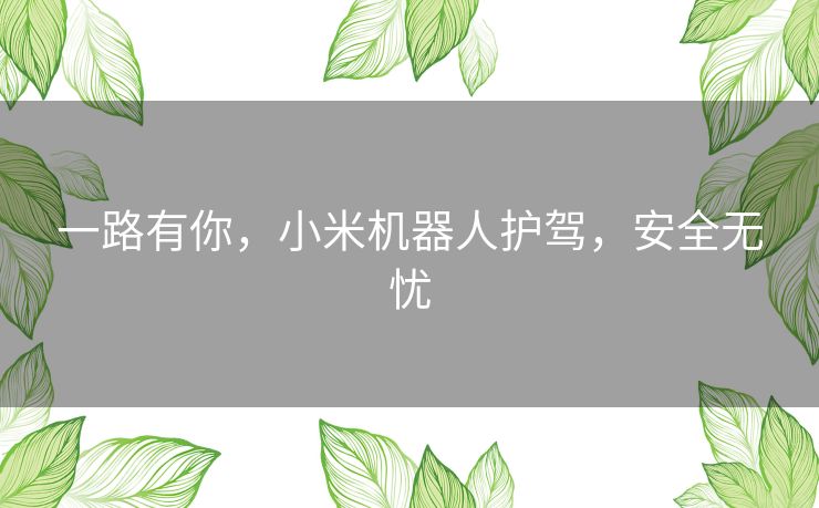 一路有你，小米机器人护驾，安全无忧